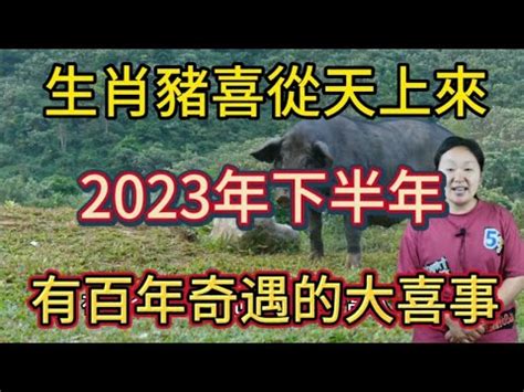 2023屬豬買房|2023年12生肖運勢排行榜出爐 屬豬者財運大增